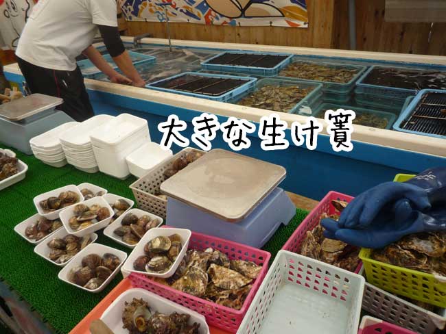 �D�z�̉��y�����}���n�`�@������