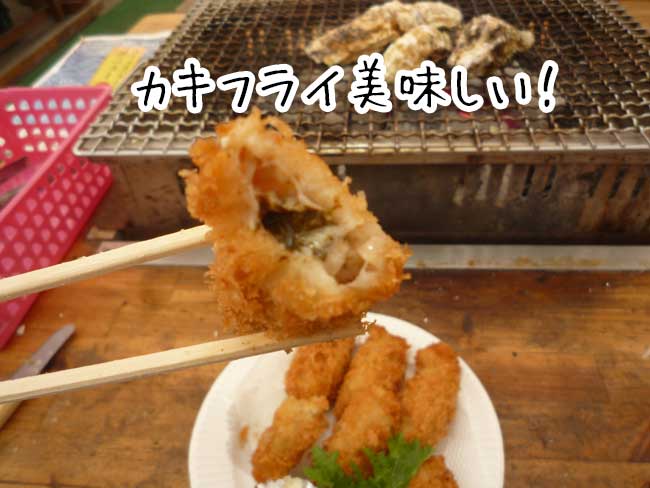 �D�z�̉��y�����}���n�`