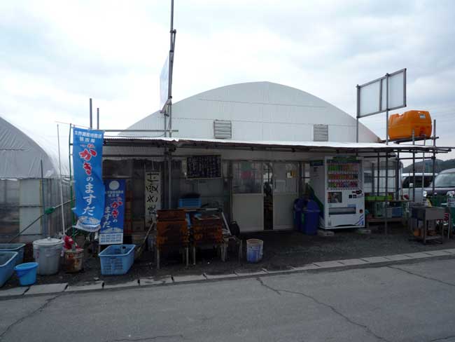 ���y�����@�r�j�[���n�E�X