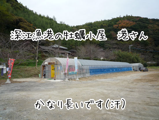 �`�@�[�]�̉��y����