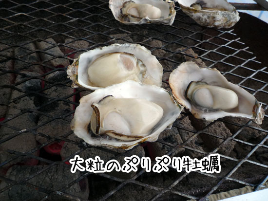 �`�@���y�����@�v���v�����y