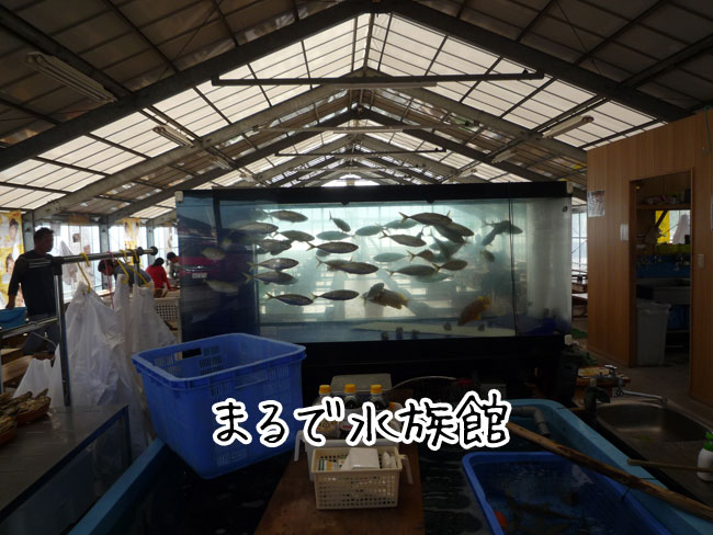 �݂킿���́@����