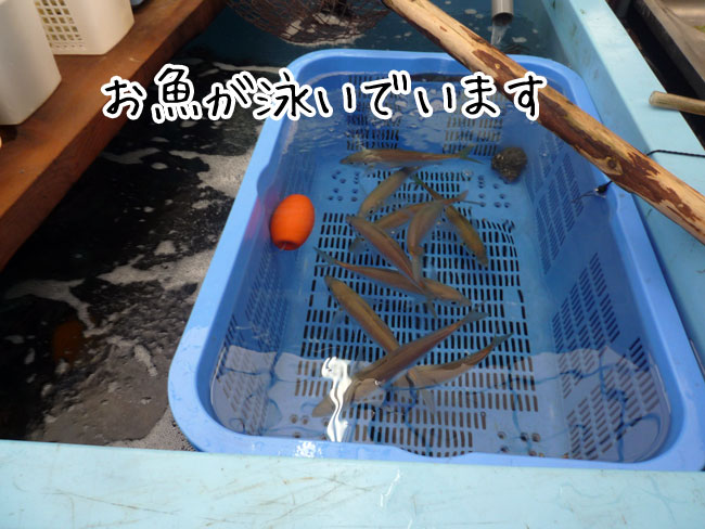 �L������X���@�݂킿���@����