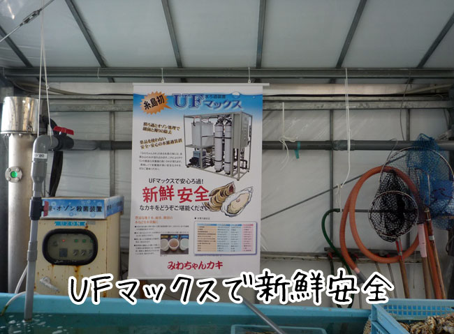 �݂킿���@�t�e�}�b�N�X