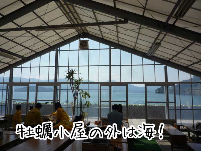 �݂킿���X���@�������y����