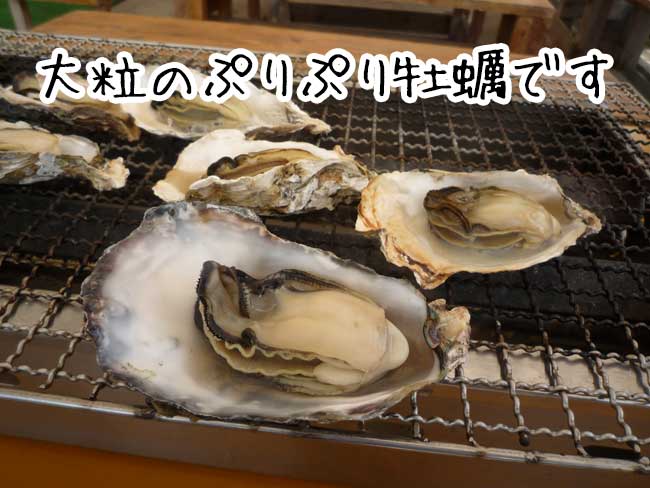 �݂킿���@�������y����