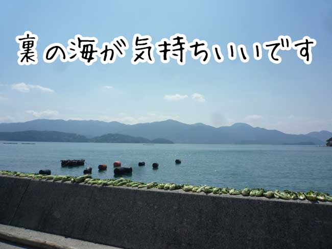 �݂킿���@���y�t���C