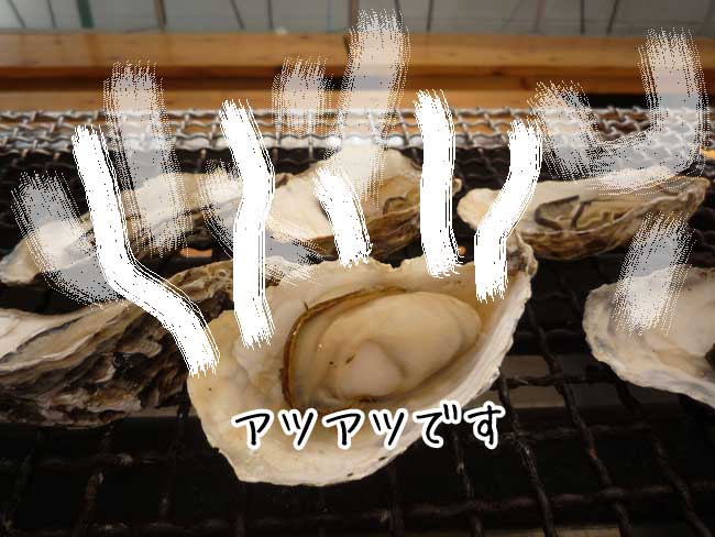 �����̉��y�����@��������