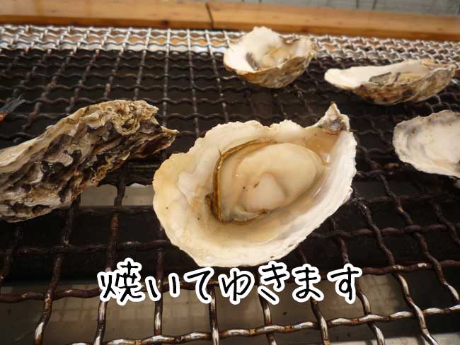 ��������@�������y����