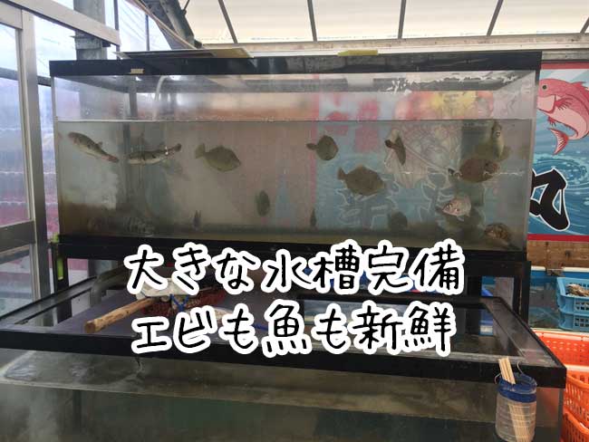 �����̉��y�����@��������