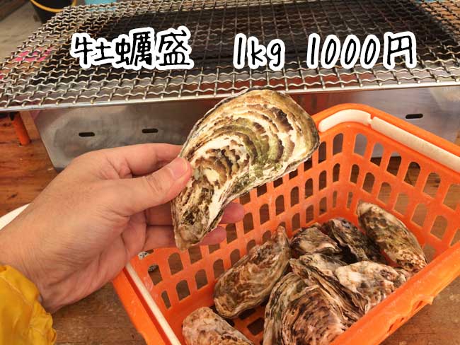 �����̉��y�����@��������