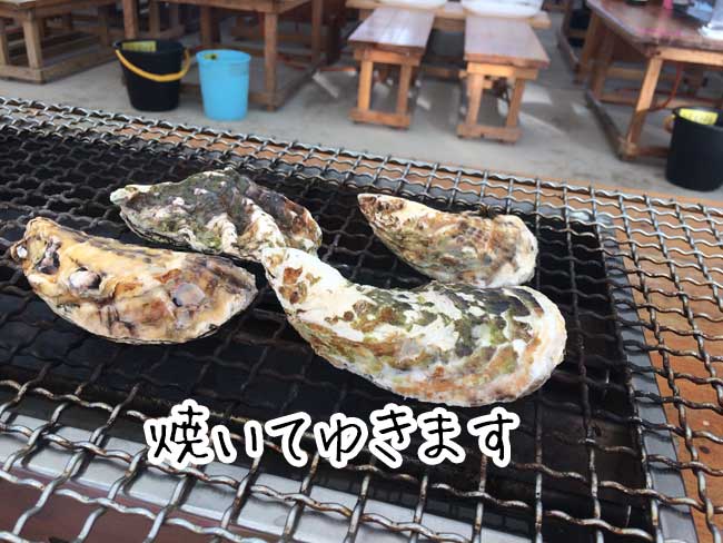 �����̉��y�����@��������