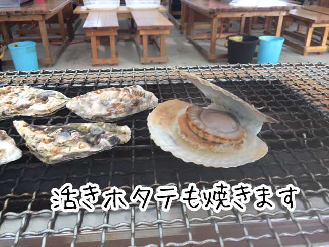 �D�z�̉��y�����@��������@�z�^�e