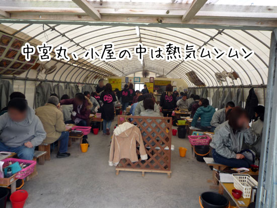 ���{�ۂ̓X��