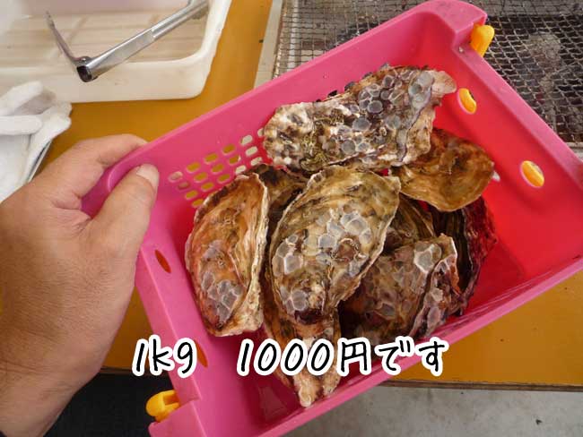 �������y�����@���y