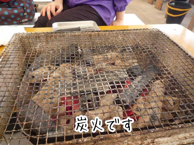 �L������X���@���{�ہ@�Y�ΏĂ�