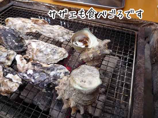 �T�U�G�Ă�