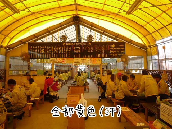 ��u���`�̉��y�����@�̂Ԃ��@�X��