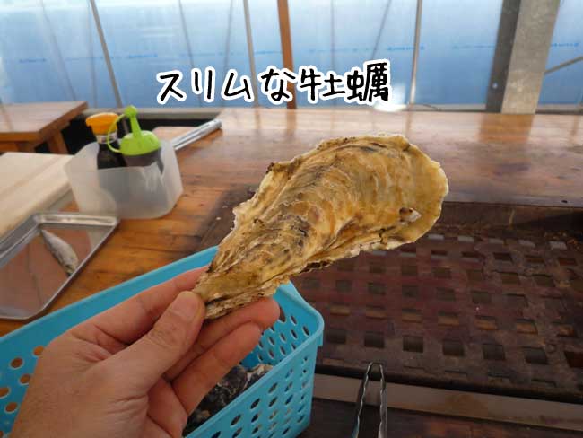 �痴�ہ@���y