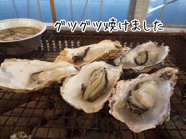 �痴�� �Ă������y