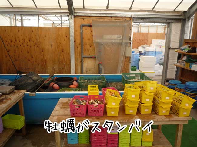 �痴�ہ@�C�P�X