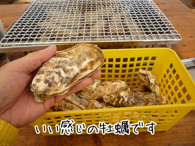 �痴�ہ@���y