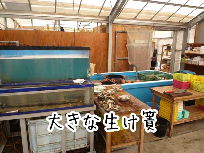 �痴�ہ@�X��