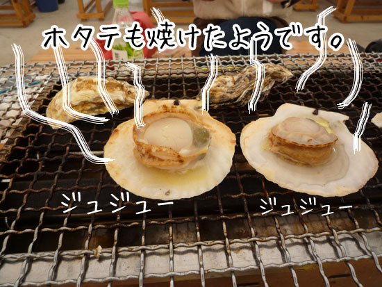 ���h�@�z�^�e