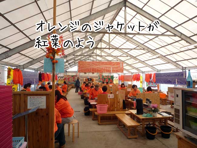 ���h �W���P�b�g�ݏo