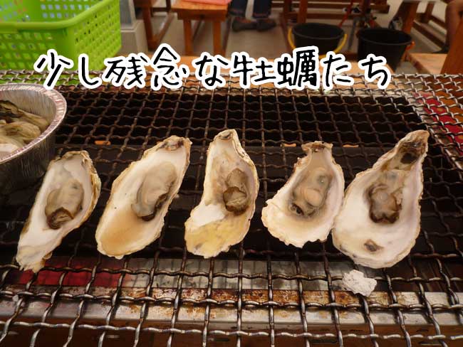 �����n�E�X���h�@���y�O�c�O�c