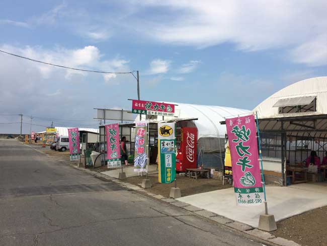 ���g���`�̉��y�����A�L�h�� �Q�O�P�V�N�X�����j���[