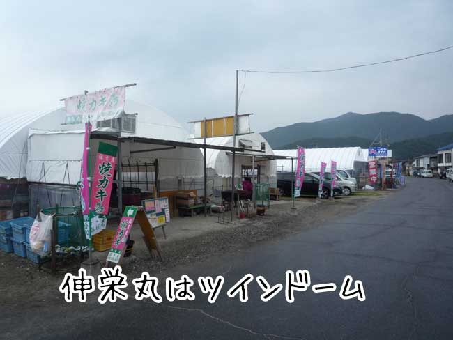 �������y�����@���y�L�h��