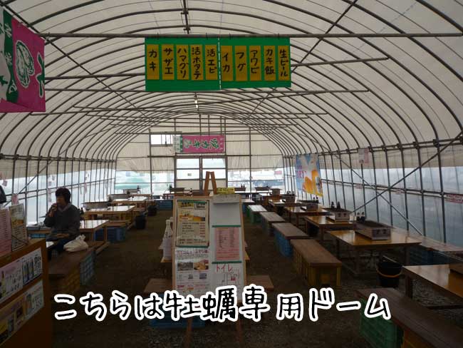 ���g���`�@�L�h�ہi���X�؁j�̉�v