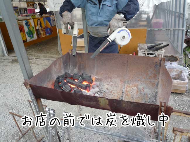 ���y�̐L�h�ہi���X�؁j