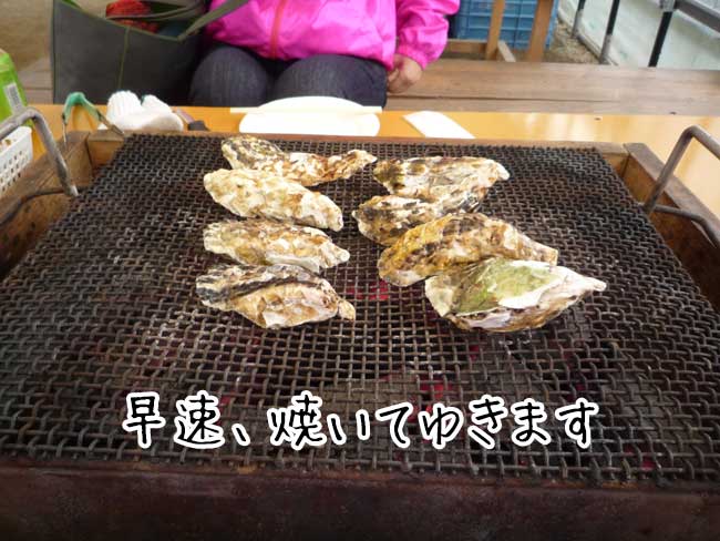 ���g���`�@�L�h�ہi���X�؁j