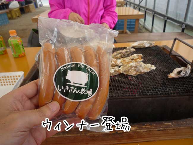 ���g���`�@�L�h�ہi���X�؁j�@�E�B���i�[�Ă�