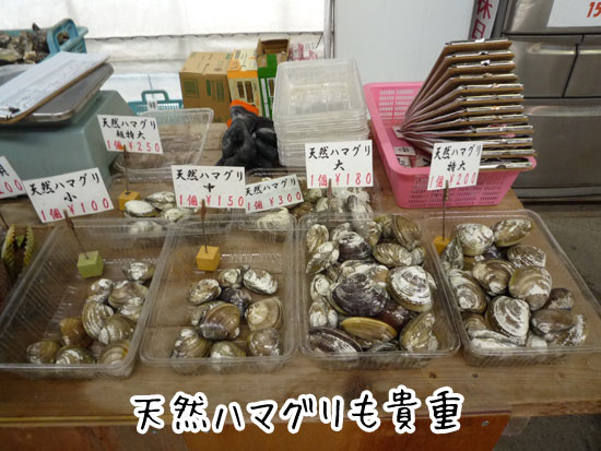 �Z�g�ہ@�V�R�n�}�O��