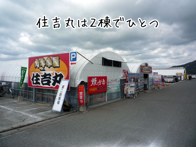 �Z�g�ہ@���y����