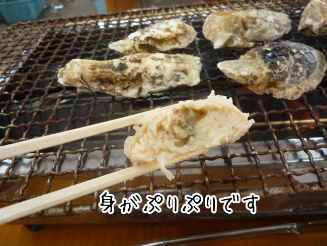 �Z�g�ہ@���y�V���E�}�C