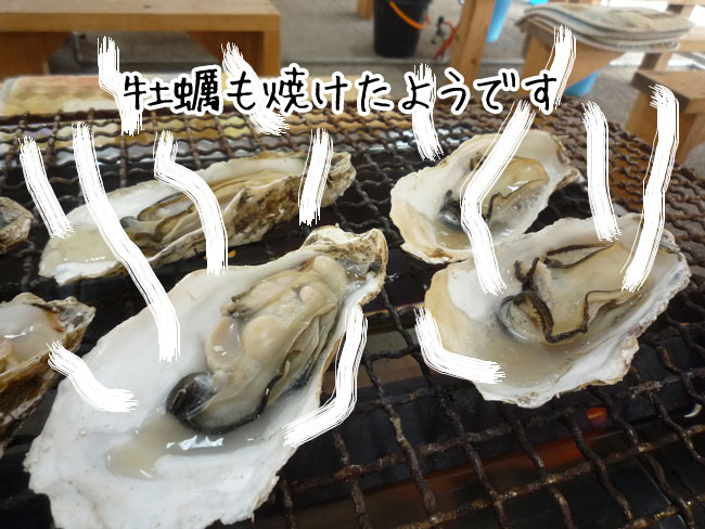 �Z�g�ہ@���y