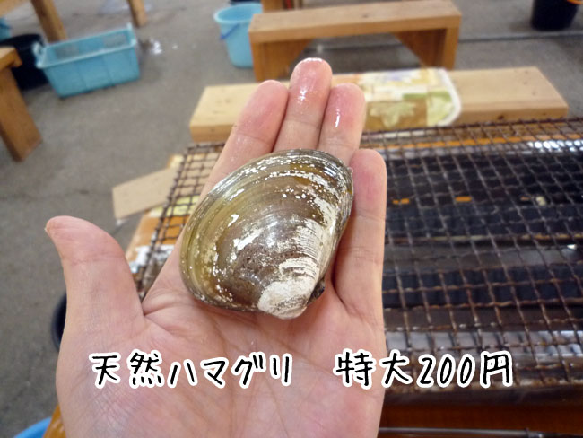 �Z�g�� �V�R�͂܂���@�������y����