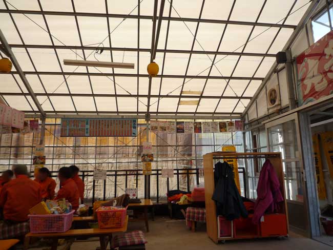 ���h�ۂ́A���ł��Ă��܂�