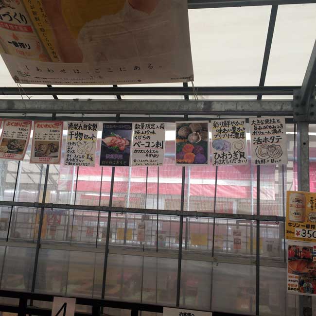 ���h�ۂ́A���ł��Ă��܂�