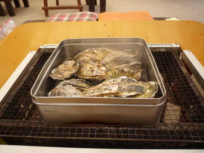 ���h�ۂ́A���ł��Ă��܂�