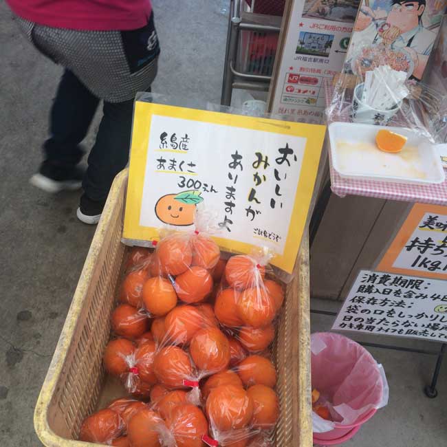 ���h�ۂ́A�݂���������Ă��܂�