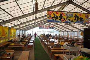 ���c�̂���ł����v