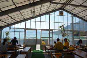 �C�������鉲�y����