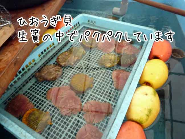 ���L�i�q�I�E�M�L�j�������ς�