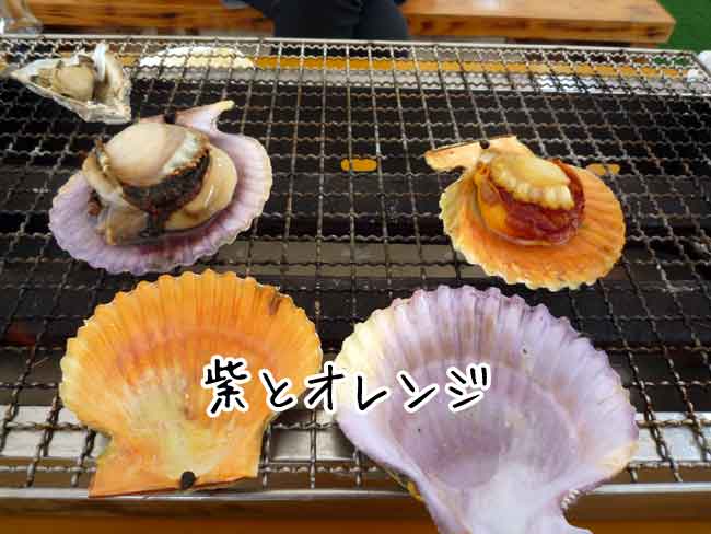 ���L�i�q�I�E�M�L�j�����F�t��