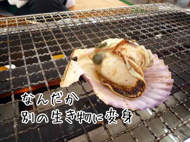 ���L�i�q�I�E�M�L�j�@A�Z�b�g